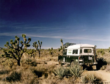 Green Rover in Majove