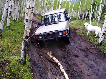 Range Rover