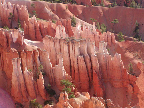 Bryce Hoodoos