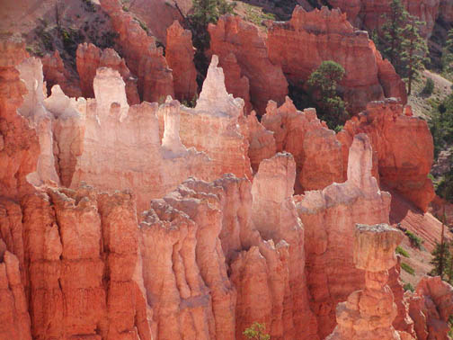 Bryce National Park Hoodoos