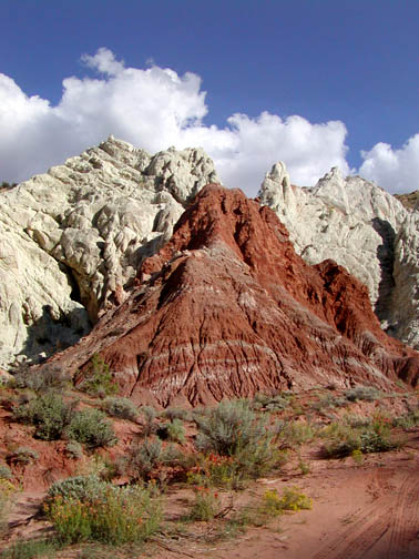 Cockscomb trail side