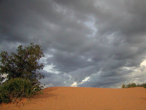 Coral Pink Sand Dunes State Park