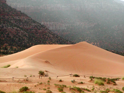 Coral Pink Sand Dunes State Park
