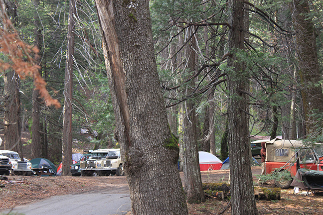 Land Rovers camped everywhere