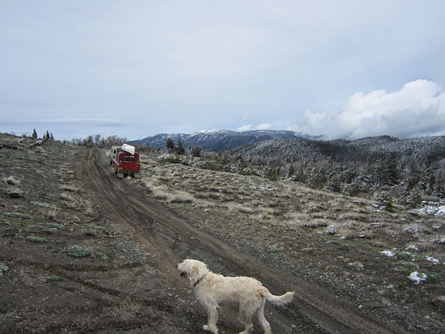 Land Rovers and rovers