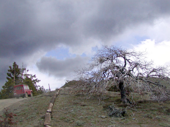 Series Land Rover climbing hill