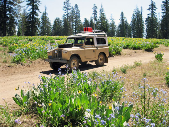 Land Rover 88 in field