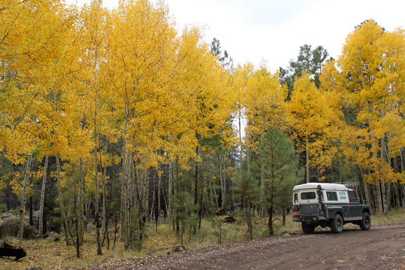 Fall colors & Land Rover