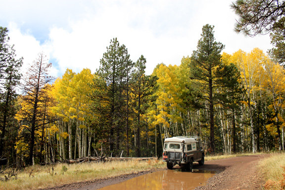 Land Rover in fall