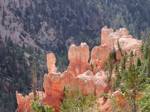Bryce National Park