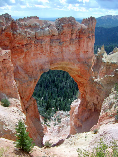 Bryce National Park
