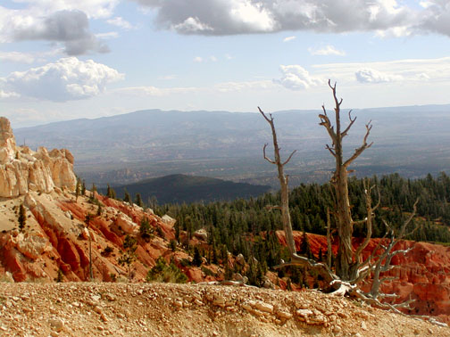 Bryce National park