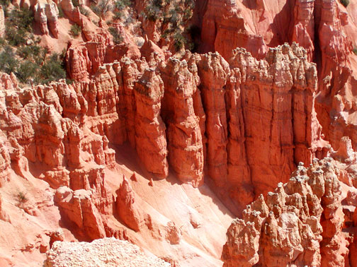 Bryce National Park