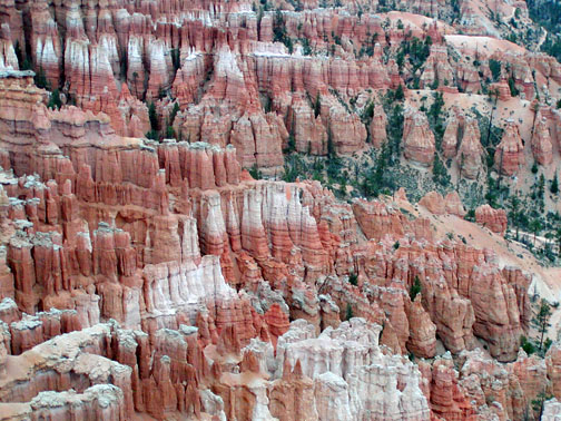 Bryce National Park