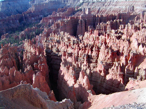 Coral Pink Sand Dune park