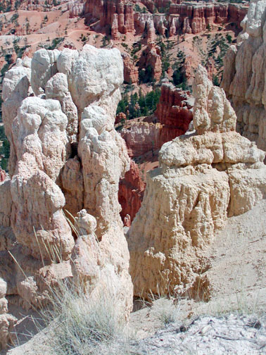 Zion Cliffs
