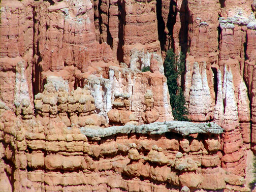 Coral Pink Sand Dune park