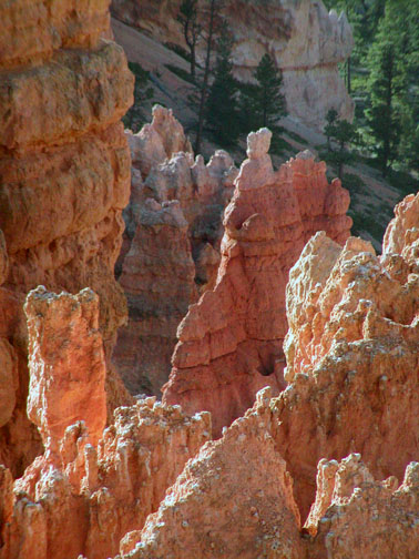 Bryce National Park