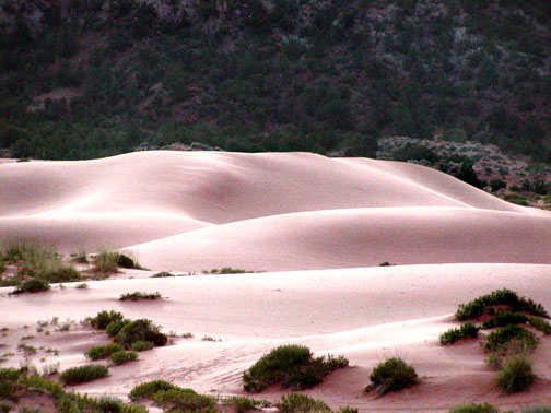 Coral Pink Sand Dune park