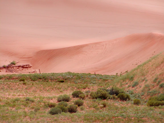 Coral Pink Sand Dune park