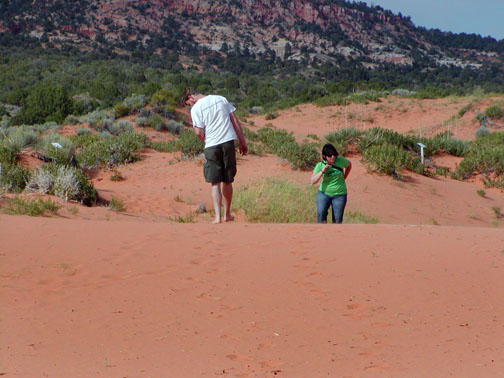 Coral Pink Sand Dune park