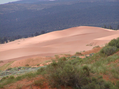 Coral Pink Sand Dune park
