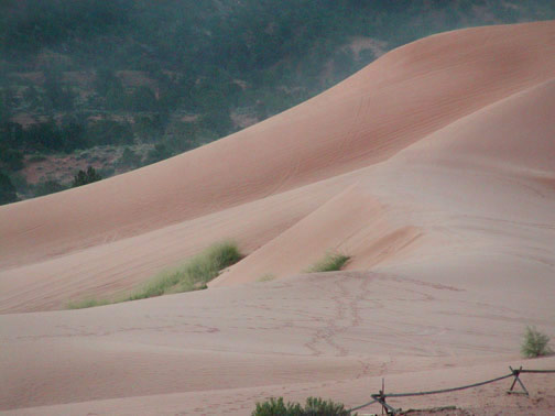 Coral Pink Sand Dunes