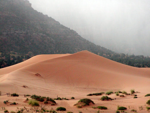 Zion Cliffs