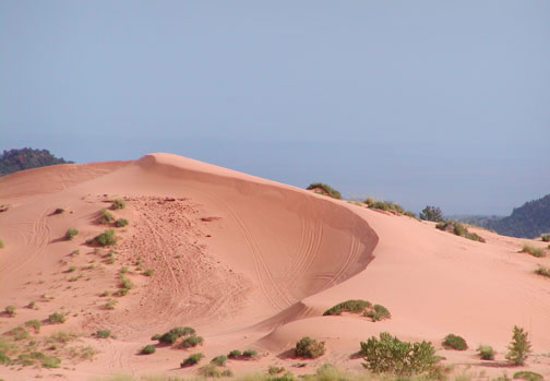 Coral Pink Sand Dune park