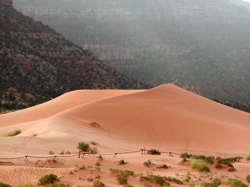 Coral Pink Sand Dune park