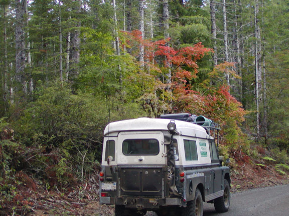 My Land Rover Dormobile in Tillamok forest