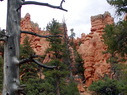 Zion Cliffs