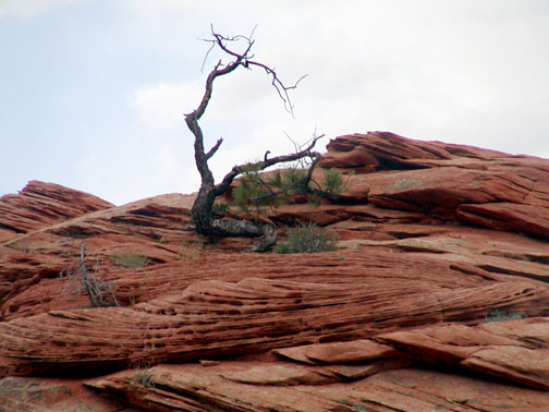 Valley of fire at dawn