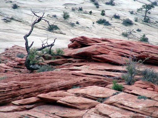 Vally of Fire rocks