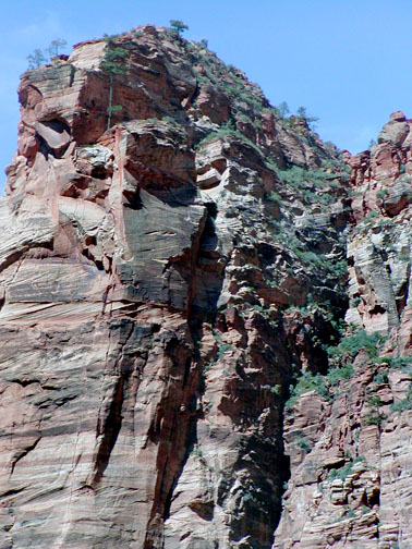 Zion cliffs